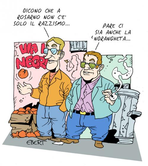 Immagine Allegata